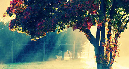 等我们老的时候在线收听