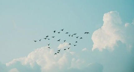 最美好的相遇在线收听