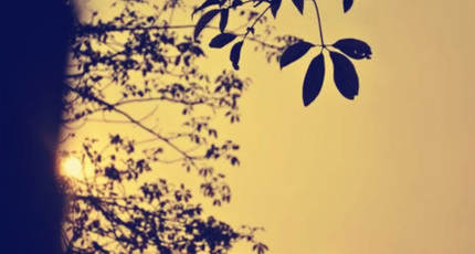 【文字辑】交换在线收听